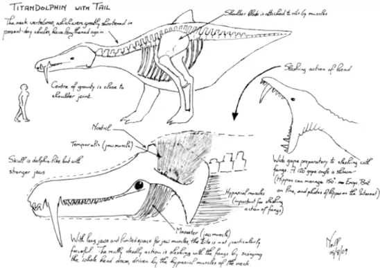 Titan_dolphin_concept